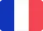 eBay motores Francia