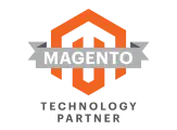 Professional Magento services